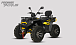 Квадроцикл PROMAX TAURUS 300 MAX-PRO LONG в Курске